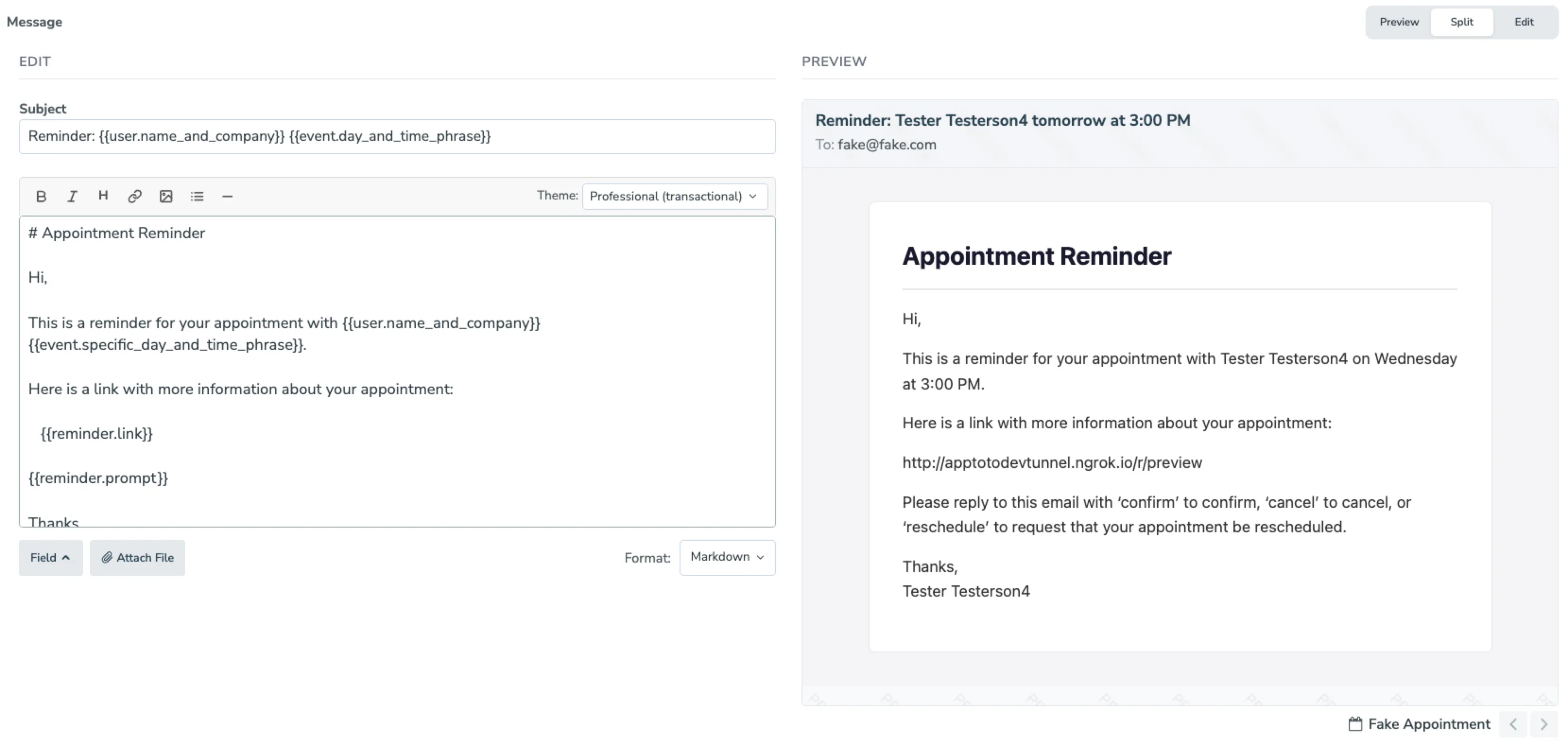 Split view showing the Markdown editor on the left and a live email preview on the right