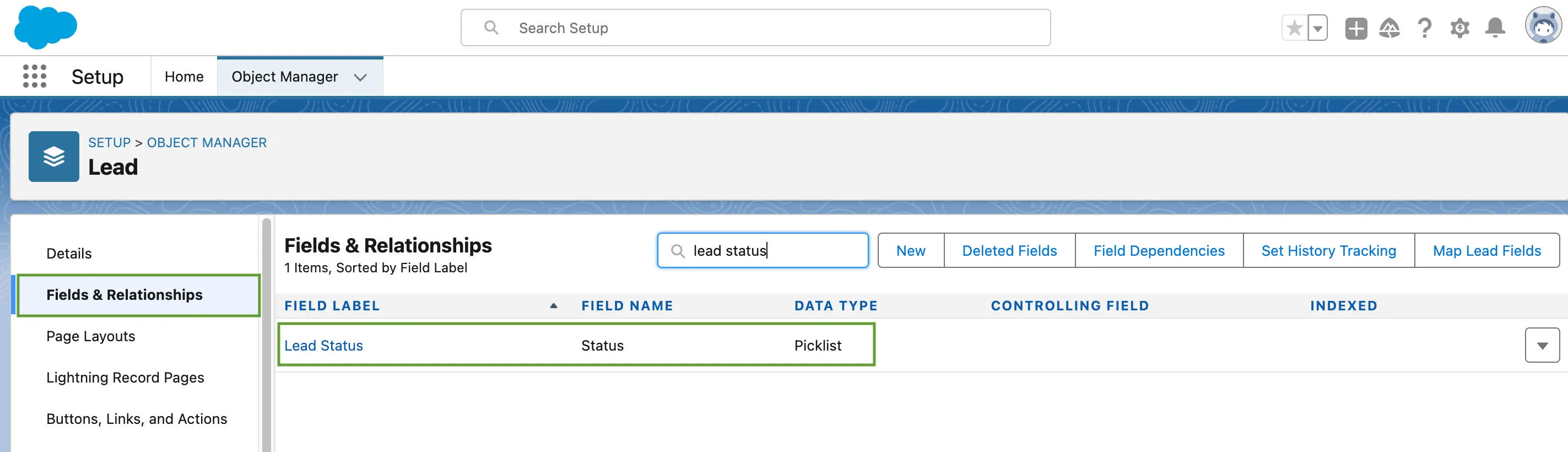 Search for "Lead Status" on the "Fields and Relationships" tab in Salesforce